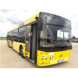 MAZ 203067 AUTOBUS