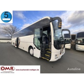 MAN R 08 Lion´s Coach