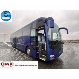 MAN R 08 Lion´s Coach